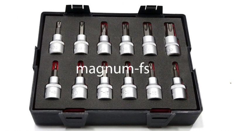 К-т вложки TORX 3/8 12 части FORCE