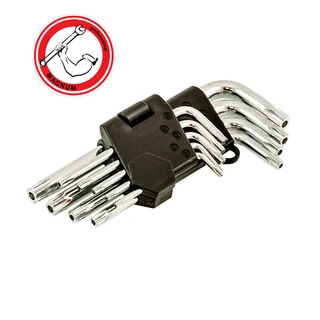 Имбуси TORX геобразни от T10 до T50 9 части к-т